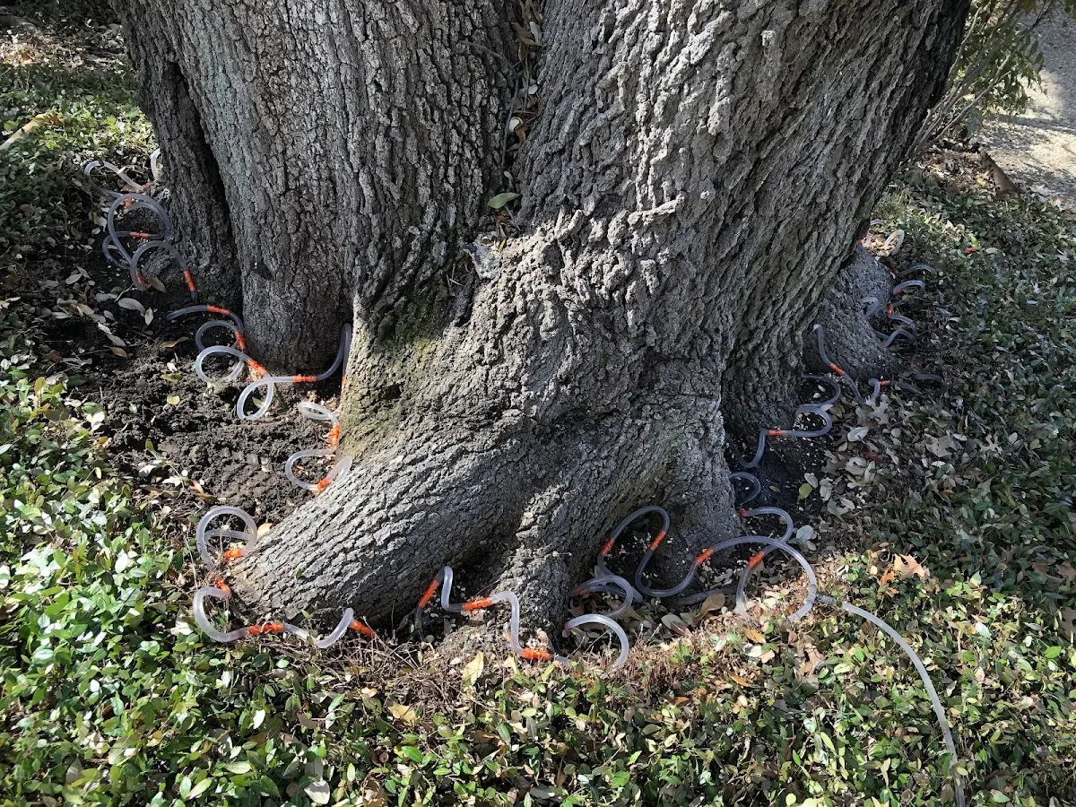 Detailed Shrub and Hedge Trimming job site in Bokchito