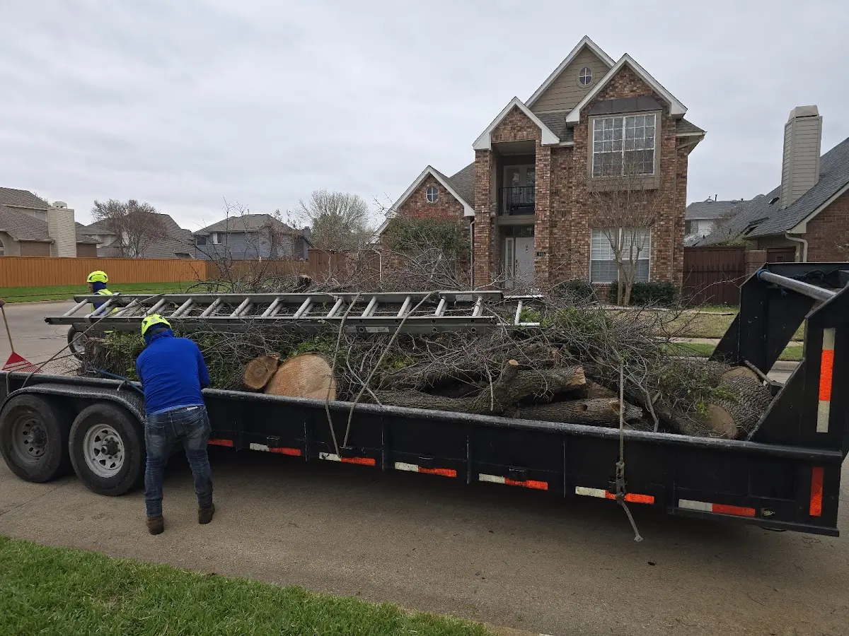 Expert Tree Removal with proper safety equipment in Bokchito